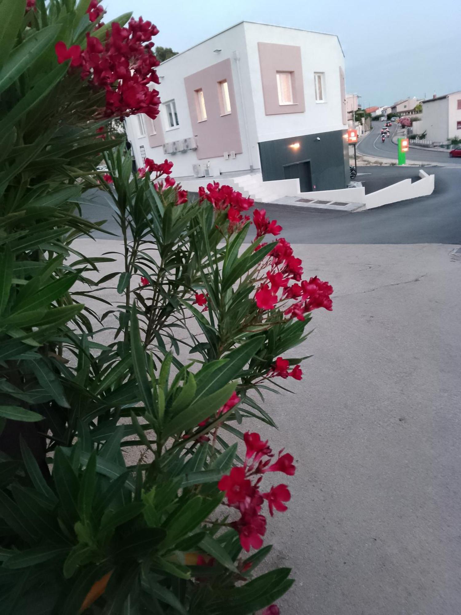 Marin Apartment Šibenik Exterior foto